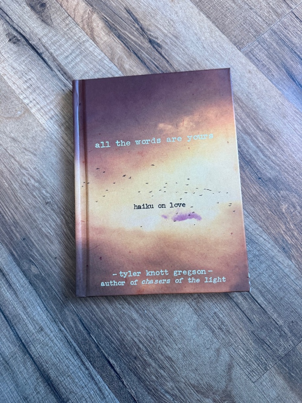 All the words are yours by Tyler Knott Gregson